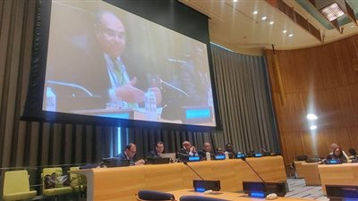 محيي الدين يشارك في جلسة إحاطة بالأمم المتحدة