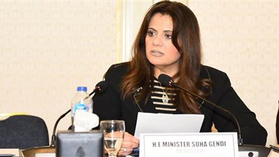 سها جندي تدعو إنشاء قاعدة معرفية إفريقية للهجرة