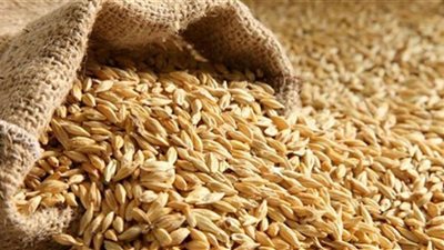 ضبط كمية كبيرة من أرز الشعير قبل بيعها في السوق السوداء