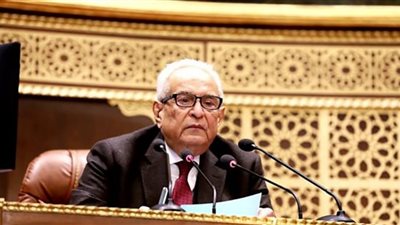 أبوشقة: النص المحدد للأشخاص بقانون صناعة السيارات يتوافق مع ضوابط التشريع