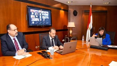 تشكيل هيئة استشارية لتنفيذ شركة مساهمة للمصريين بالخارج