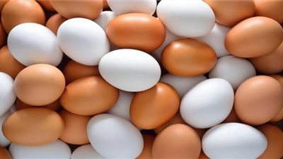 أسعار البيض في المزارع والمحلات