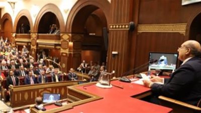 مجلس الشيوخ يوافق على أهداف المجلس الأعلى لصناعة السيارات