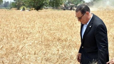 محافظ الشرقية: إنتظام توريد الأقماح وإستقبال2.5 طن اليوم بالشون والصوامع