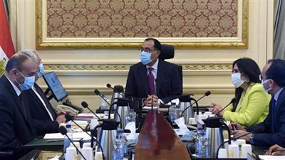 خطة للتوسع في توفير سلالات الماشية عالية الإنتاجية