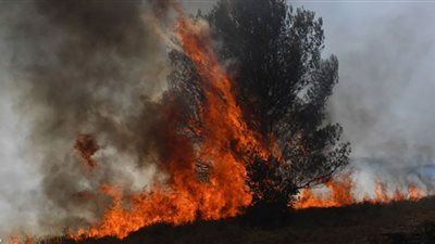 الناتو يدعم جهود الدول الأعضاء في مكافحة حرائق الغابات