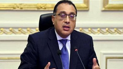100 مليون شجرة.. مدبولي يستعرض جهود الدولة بملف المناخ