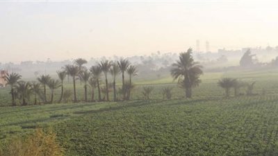 طقسٌ شتوي مائل للبرودة والعظمى 20 درجة بالفيوم