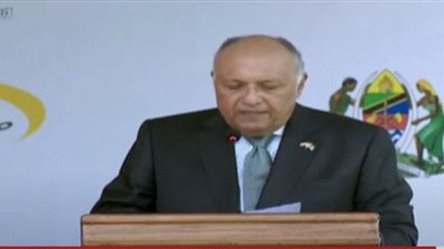 مشروع سد جوليوس نيريري يؤكد التزام مصر تجاه أشقائها بأفريقيا (شاهد)