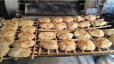 محافظ الدقهلية يحيل 55 مخالفة تموينية إلى النيابة العامة