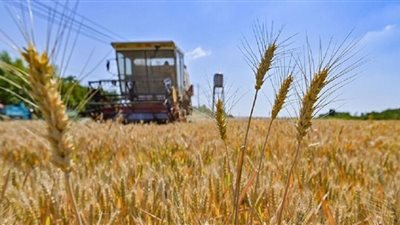 شحنتان من الحبوب الأوكرانية تغادران الموانئ اليوم