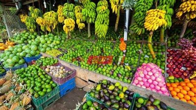 أسعار الفاكهة في الأسواق المصرية اليوم