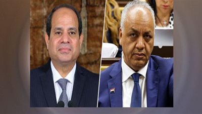 الرئيس السيسي أوفى بوعده بتحويل مصر لوطن «قد الدنيا».. فيديو