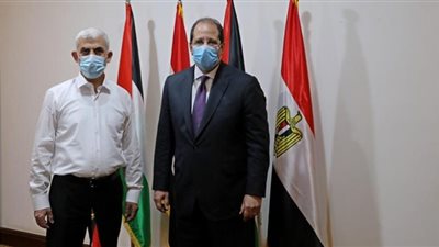 دور مصر محوري في القضية الفلسطينية ولا سلام دون حل الدولتين