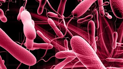 احذر أعراض مرض الكوليرا الفتاك