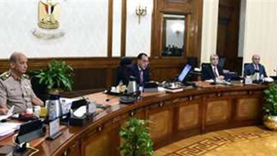 إعفاء السيارات من الجمارك سيوفر للاقتصاد المصري 10 مليار دولار