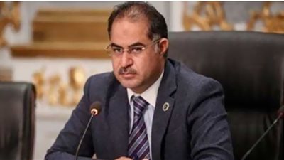 سليمان وهدان: الدولة حريصة على زيادة مشاركة القطاع الخاص فى الاستثمارات