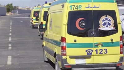 مصرع شابين في حادث تصادم على طريق الواحات البحرية