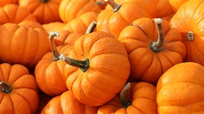 فوائد لا تعرفها عن أكل اليقطين