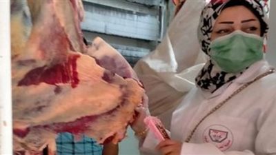 ضبط ٣٤٥ كجم لحوم ودواجن غير صالحة بالشرقية