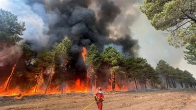 خسائر فادحة بسبب حرائق الغابات في فرنسا