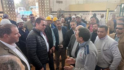 وفد زراعة النواب يتفقد مزارع النخيل بالوادي.. ورئيس اللجنة: فرص استثمار ناجحة