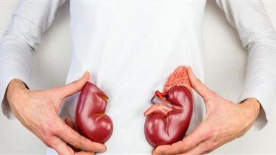 حميات غذائية خطيرة على الكلى