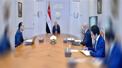 السيسي يطلع على نتائج الزيارة الأخيرة للوفد المصري لـسد جوليوس نيريري بتنزانيا