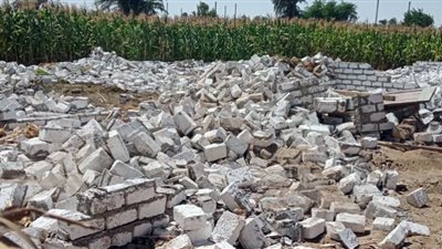 إزالة 119 حالة تعد خلال أعمال الموجة الــ 20 لإزالة التعديات ببنى سويف