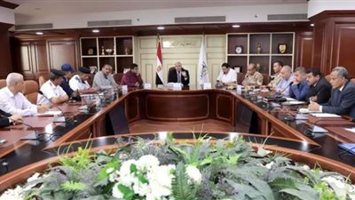محافظ بني سويف: خطة عملية لترشيد استهلاك الكهرباء بالمنشآت العامة والأندية
