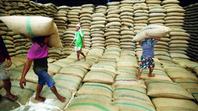 التموين توجه رسالة مهمة لحائزي الأرز 