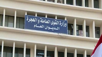 خدمات مقدمة للمصريين بالخارج عبر موقع الهيئة القومية للتأمين الاجتماعي