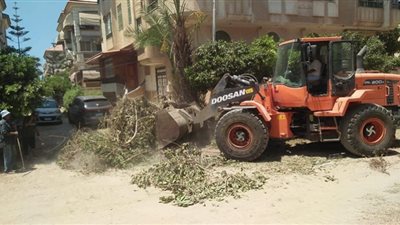 رفع 5 أطنان قمامة وتحرير محاضر تموينية برأس البر