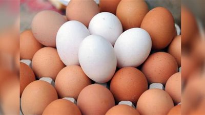 أسعار البيض بالأسواق اليوم الخميس