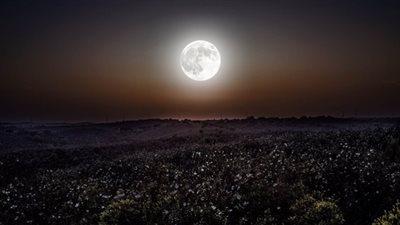 يُزين سماء مصر الليلة| تفاصيل القمر العملاق والأخير خلال عام 2022