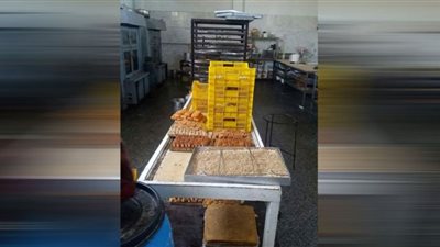 الشرقية: ضبط 9 أطنان مواد غذائية غير صالحة