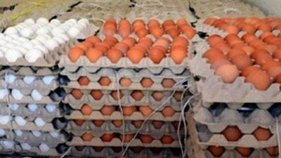 مفاجأة بشأن البيض المخصب المنتشر حديثًا (شاهد)