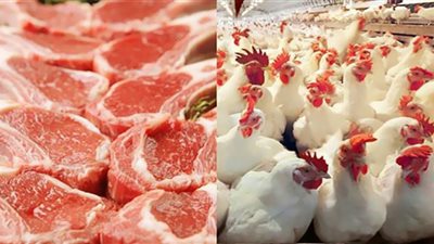 انخفاض أسعار اللحوم والدواجن قريبًا (فيديو)
