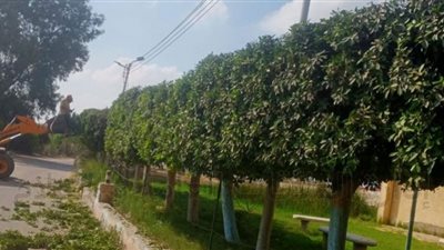 الإسماعيلية تكثف أعمال النظافة العامة والتطوير