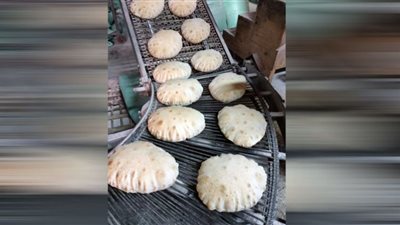 محافظ الدقهلية يحيل 58 مخالفة تموينية إلى النيابة العامة