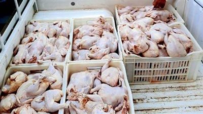 ضبط 19 طن دواجن مجهولة المصدر