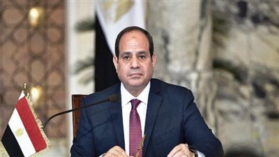 السيسي: نبذل جهدًا كبيرًا لاستقرار الأسعار وعدم زيادتها (شاهد)