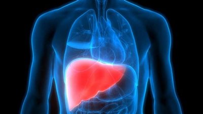 زيادة مركبات الفلور العضوية في الجسم تطور سرطان الكبد