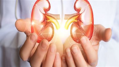 نظام غذائي يشكل خطرًا على صحة الكلى