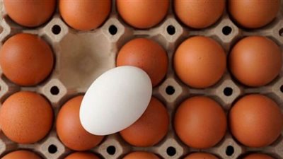 أسعار البيض اليوم الأحد
