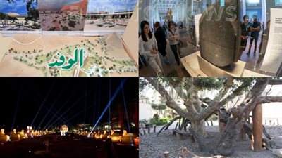 حصاد 2022| افتتاحات واكتشافات.. إنجازات قطاع الآثار خلال عام