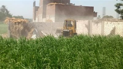 بني سويف: إزالة 130 حالة تعد على الأراضي