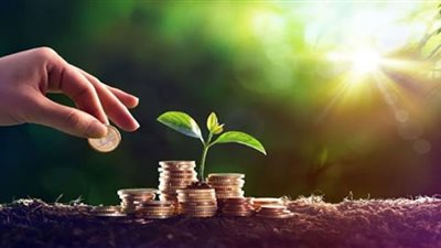 برنامج نوفي.. بداية مستقبل أخضر لمشروعات المناخ