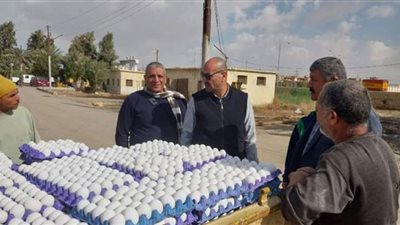 بني سويف بيع بعض منتجات مشروع الدواجن للمواطنين بأسعار مناسبة لمواجهة غلاء الأسعار