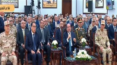 السيسي: تأسيس صندوق لدعم الأسرة المصرية في الأوقات الحرجة (شاهد)
